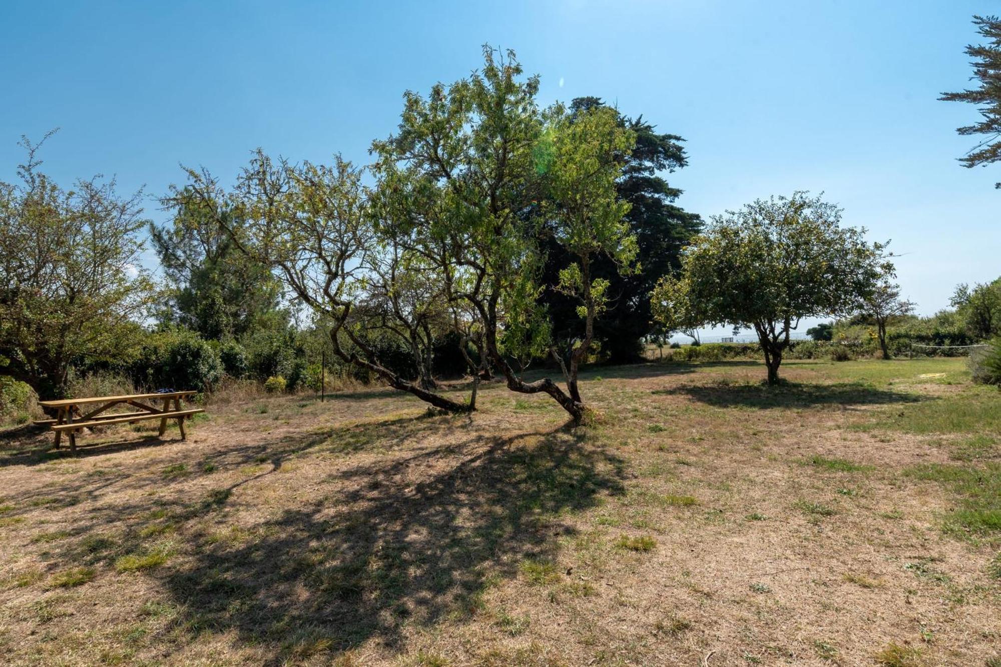 לה ברנרי-אן-רץ La Paisible - 50M Mer - Jardin מראה חיצוני תמונה